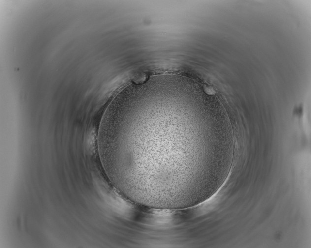 X0000092010144200709131543