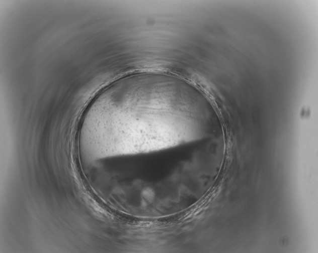 X0000092010145200709131542