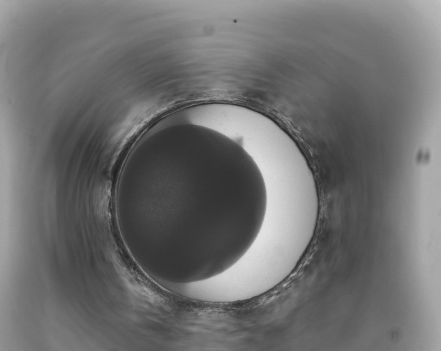 X0000092010146200709131542