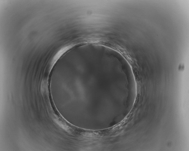 X0000092010147200709131542