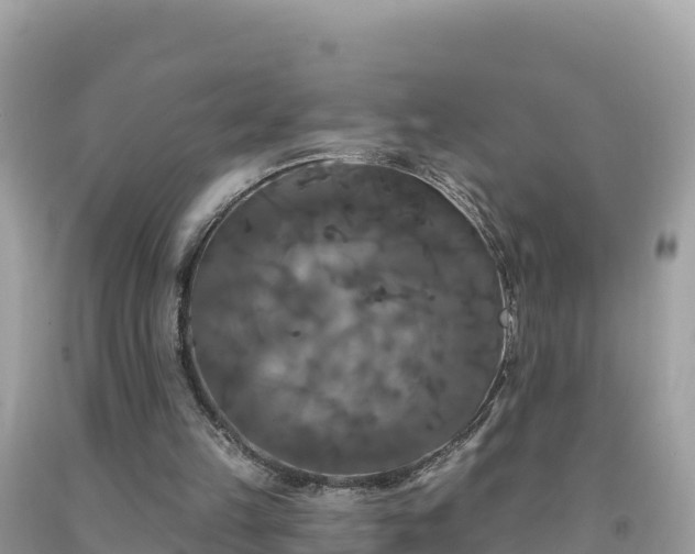 X0000092010149200709131542