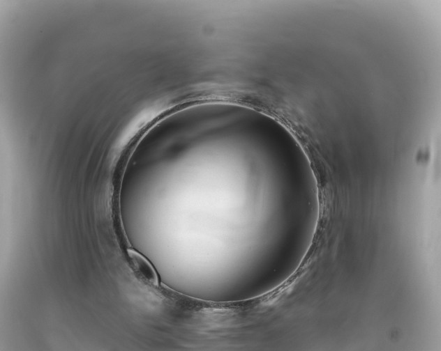 X0000092010150200709131542
