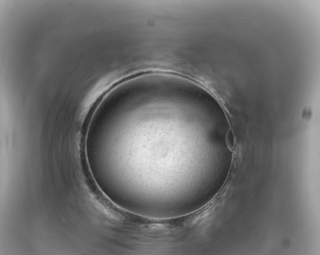 X0000092010151200709131542