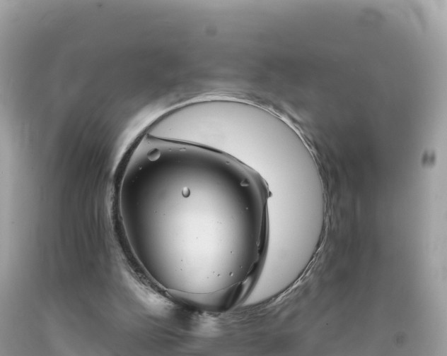 X0000092010152200709131542