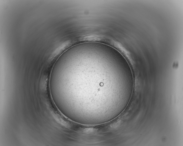 X0000092010153200709131542