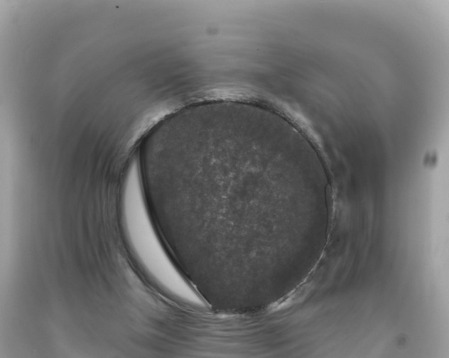 X0000092010154200709131542