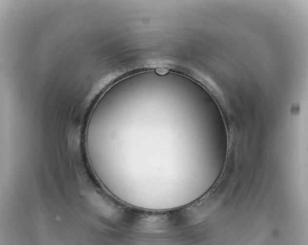 X0000092010155200709131542
