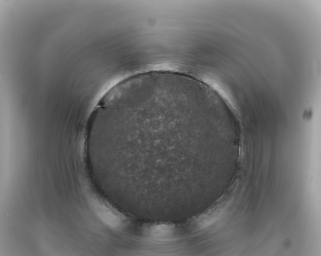 X0000092010156200709131542