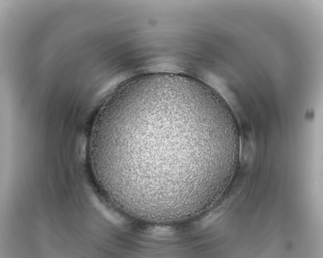 X0000092010157200709131542