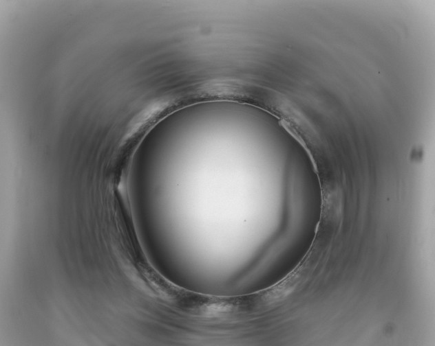 X0000092010158200709131542