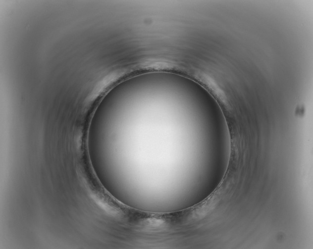 X0000092010159200709131542