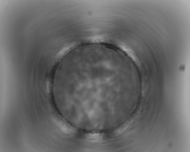 X0000092010161200709131542