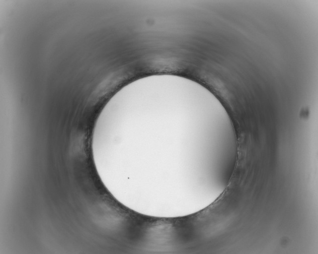 X0000092010162200709131542
