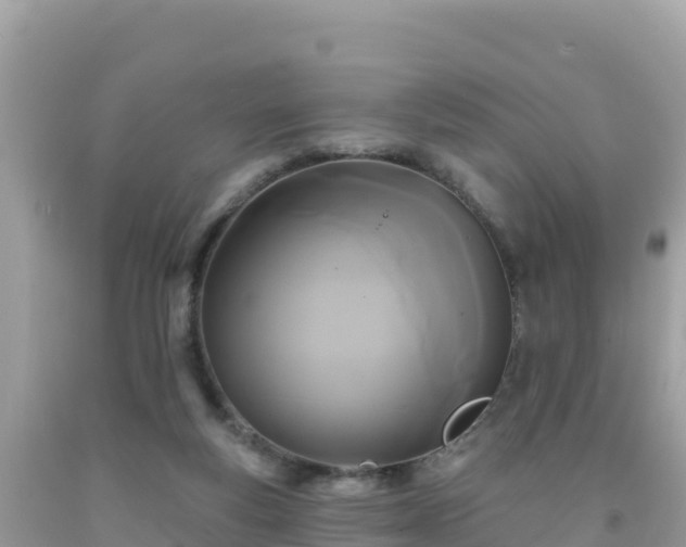 X0000092010163200709131542