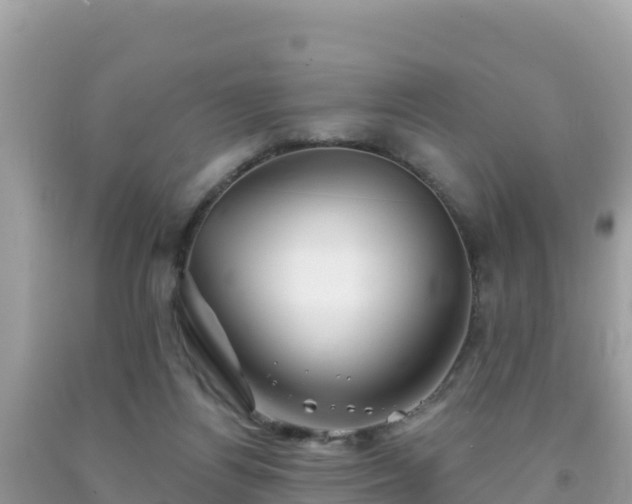 X0000092010164200709131542