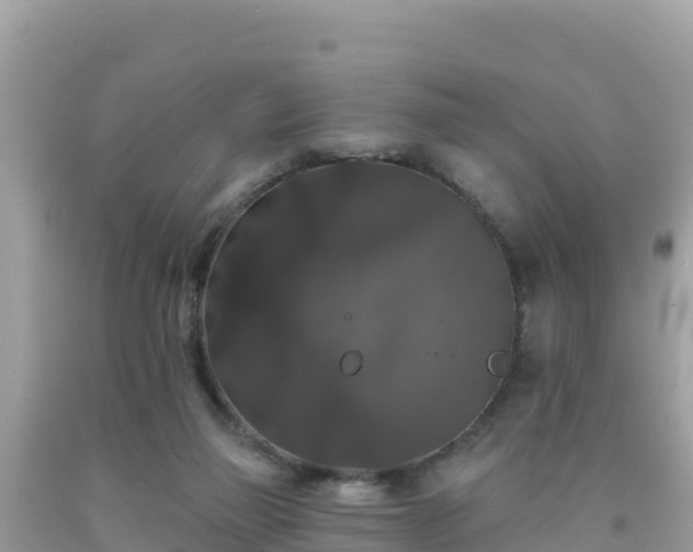 X0000092010165200709131542