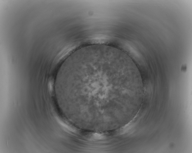 X0000092010166200709131542