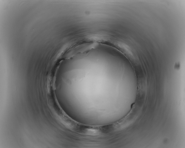 X0000092010167200709131542