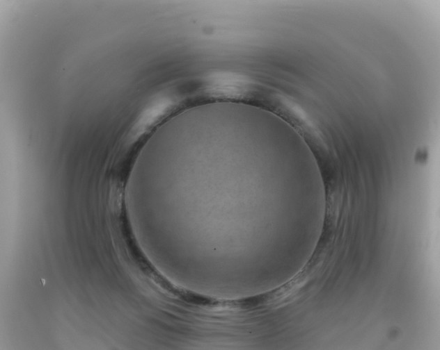 X0000092010168200709131542