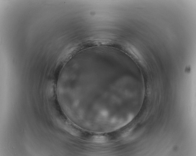 X0000092010169200709131542