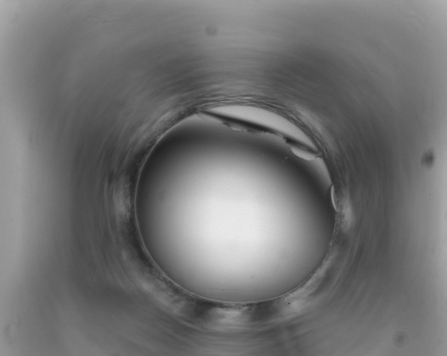 X0000092010170200709131542