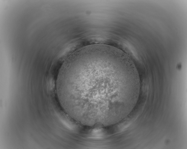 X0000092010173200709131543