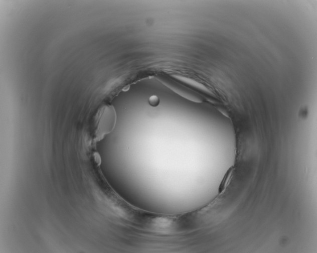 X0000092010176200709131543