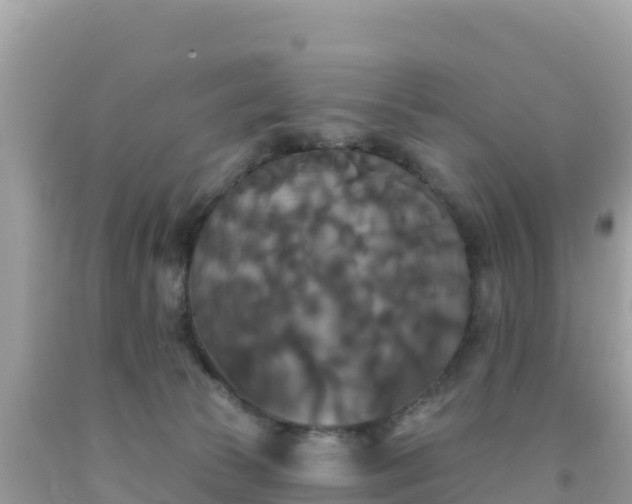 X0000092010177200709131543