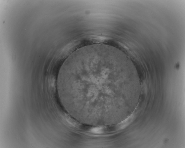 X0000092010178200709131543