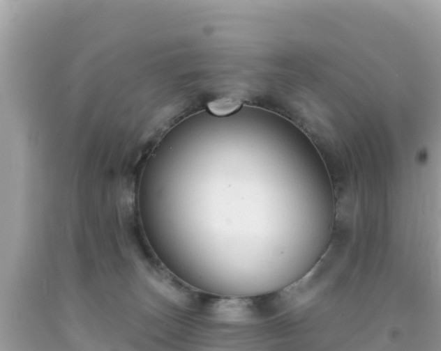 X0000092010179200709131543