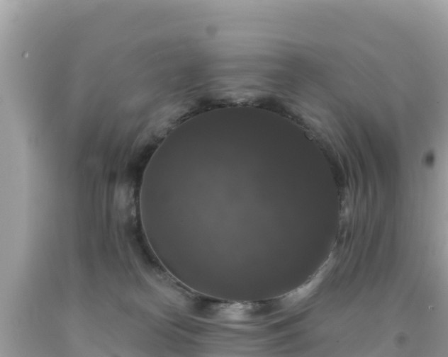 X0000092010182200709131543