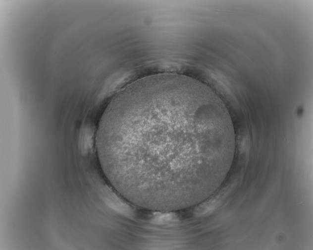 X0000092010185200709131543