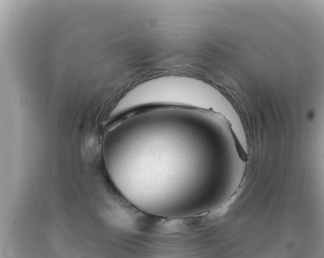 X0000092010186200709131543