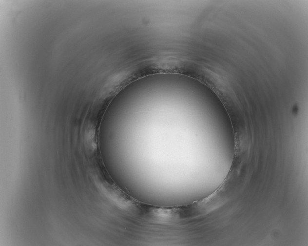X0000092010187200709131543