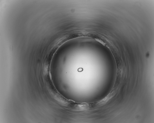 X0000092010188200709131543