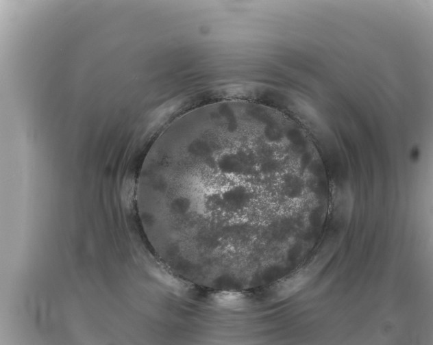 X0000092010189200709131543