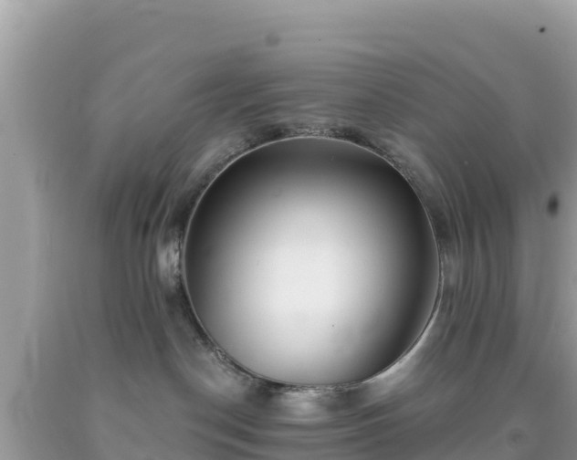 X0000092010190200709131543