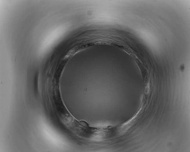 X0000092010191200709131543