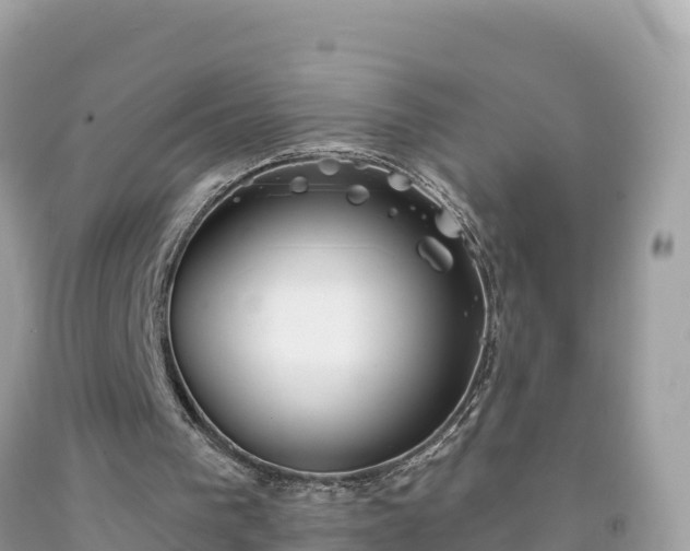 X0000092010193200709131542