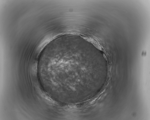 X0000092010194200709131542