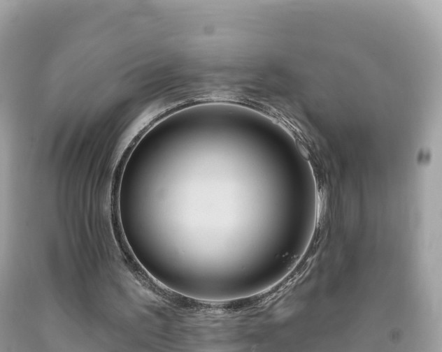 X0000092010195200709131542