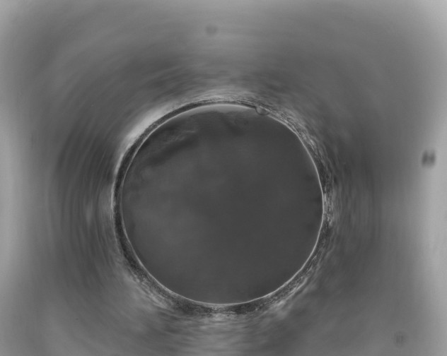 X0000092010196200709131542