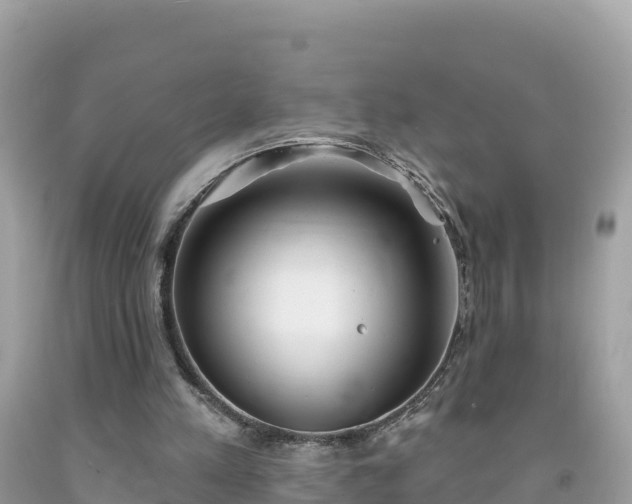 X0000092010197200709131542