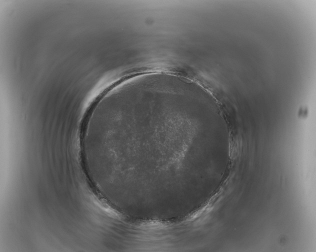 X0000092010198200709131542