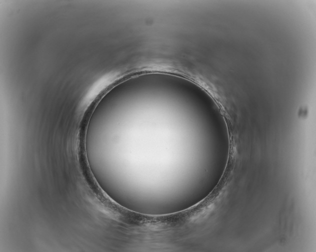X0000092010199200709131542