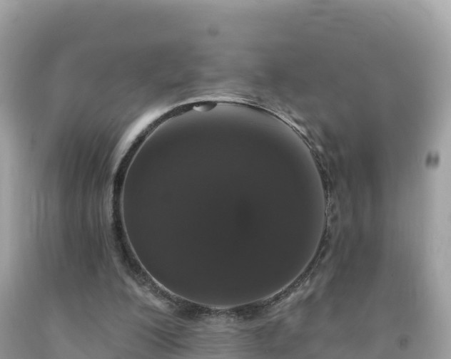 X0000092010200200709131542