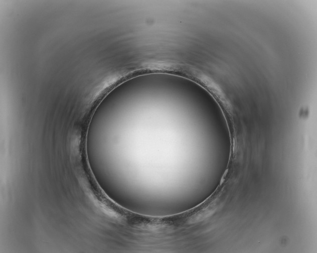 X0000092010201200709131542