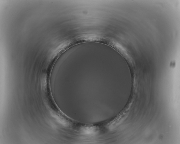 X0000092010202200709131542