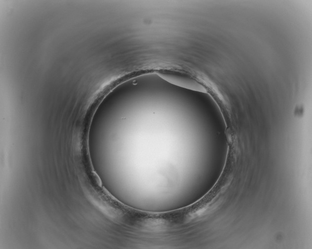 X0000092010203200709131542