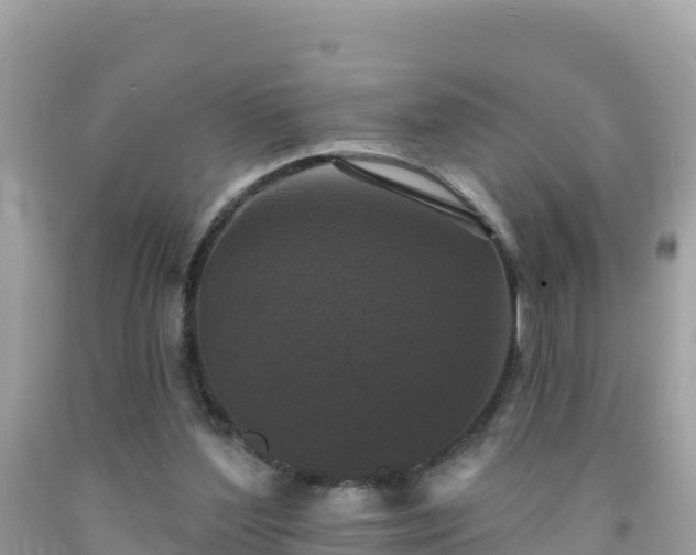 X0000092010204200709131542